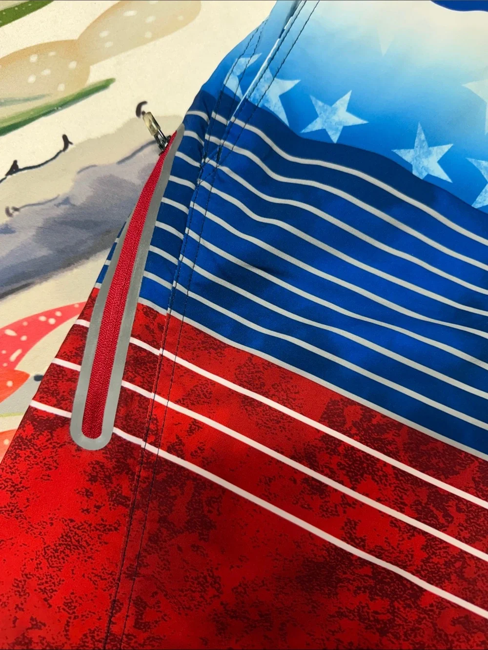 ZeroXposur Blue, Red & White Striped Swim Trunks
